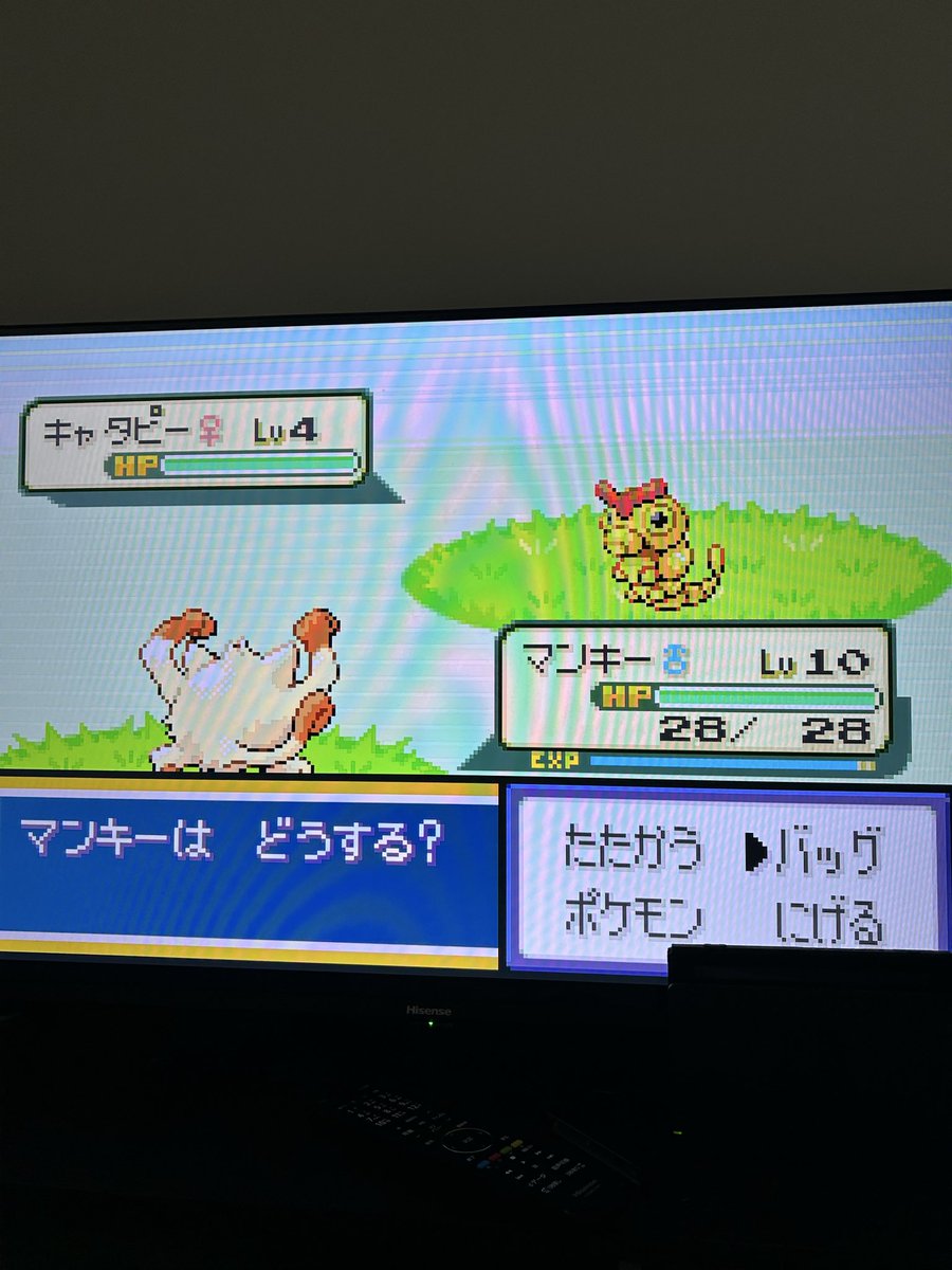 masa_kasou_'s tweet photo. ポケモンファイアレッ��初めて15分
初めて遭遇したキャタピーが色違いなんて奇跡が起こって仰天

#ファイアレッド #リーフグリーン
#ポケモン
#ポケモンFRLG 
#ポケモンFRRG
#色違い
#ポケモン30周年 https://t.co/27g2K4lcA3