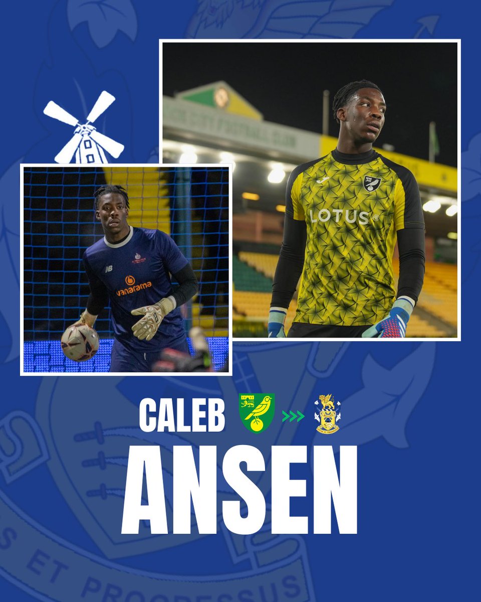 Aveley Football Club tweet media