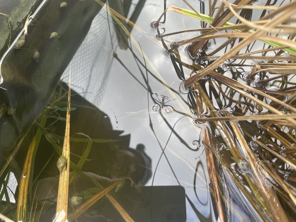 Richard Jones tweet media