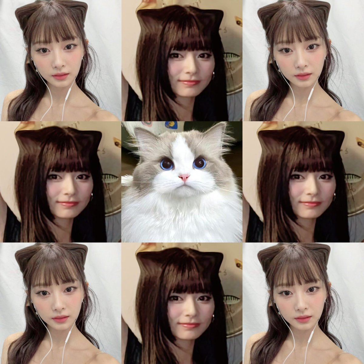meow world ! 🐱🥢