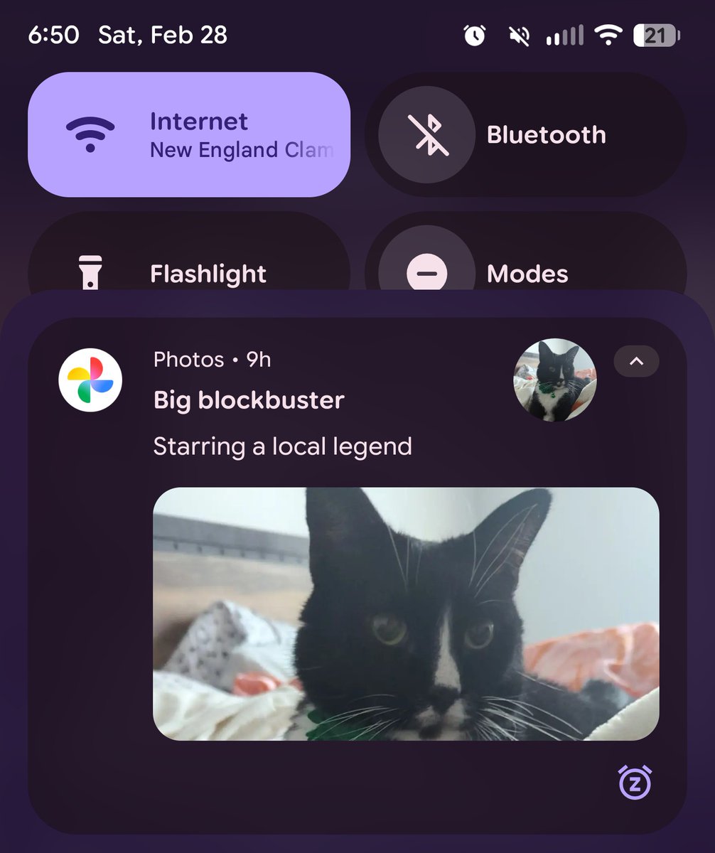 my phone is OBSESSED with my tuxedo