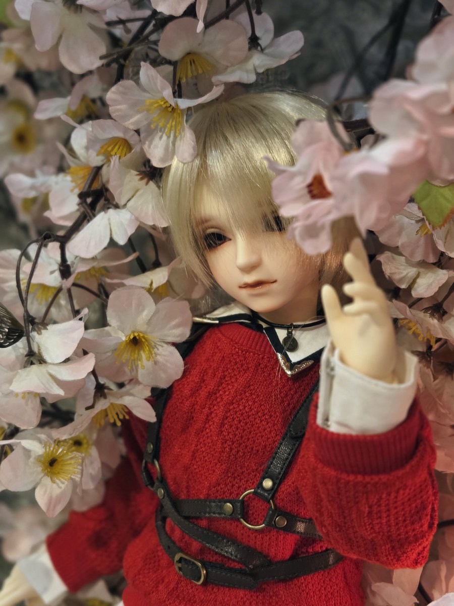 _Lepus_Lei_'s tweet photo. うのくんお迎えからもう半年経ちました…!全然写真撮れてなくてごめんねぇ!!
#SD58
#うちのこかわいい
#うちの子可愛い https://t.co/eQEEJUMyNf