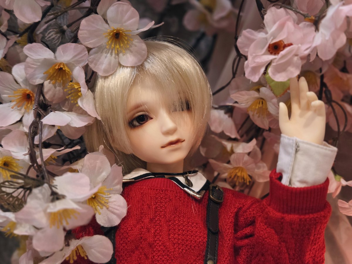 _Lepus_Lei_'s tweet photo. うのくんお迎えからもう半年経ちました…!全然写真撮れてなくてごめんねぇ!!
#SD58
#うちのこかわいい
#うちの子可愛い https://t.co/eQEEJUMyNf