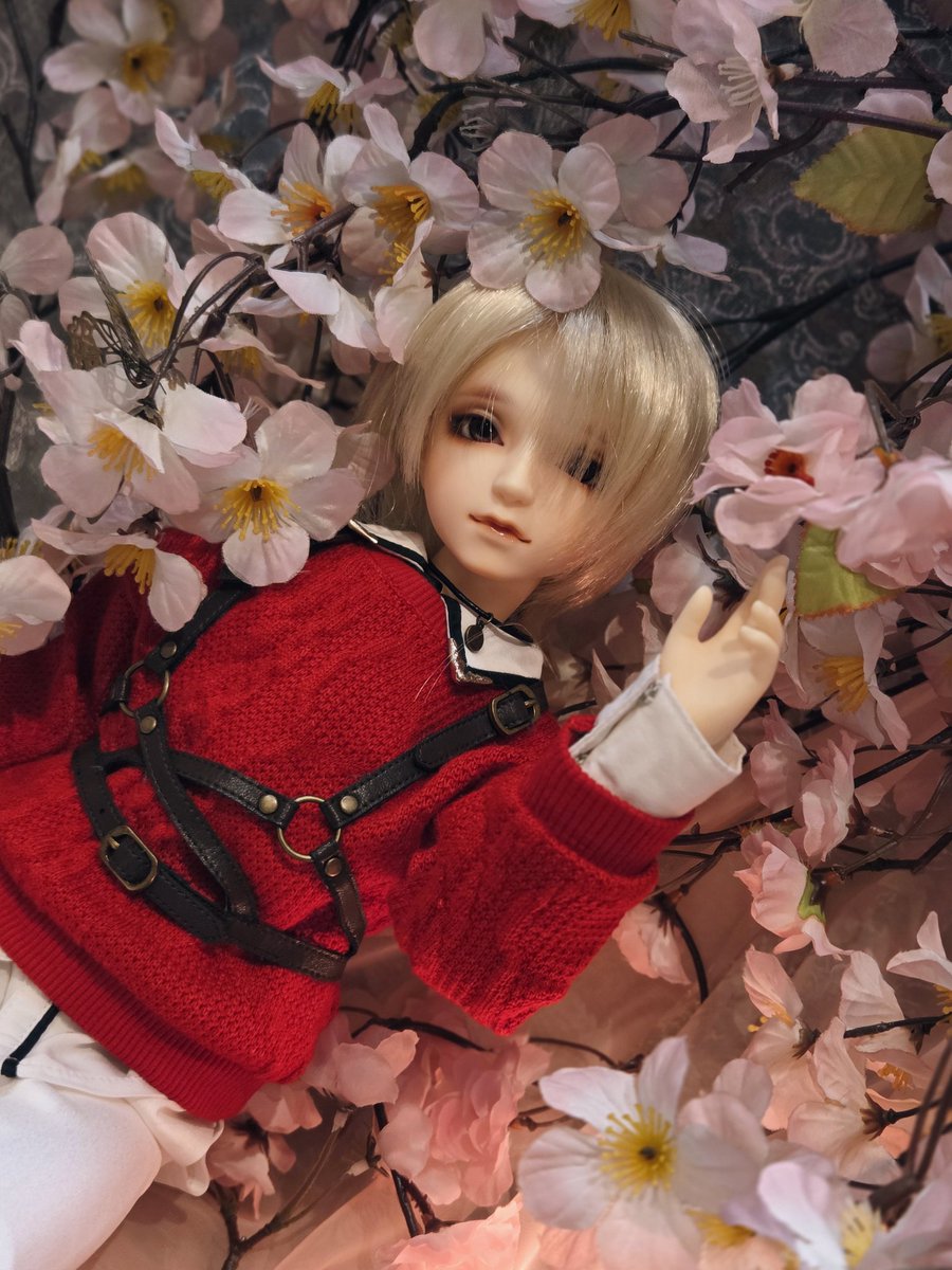 _Lepus_Lei_'s tweet photo. うのくんお迎えからもう半年経ちました…!全然写真撮れてなくてごめんねぇ!!
#SD58
#うちのこかわいい
#うちの子可愛い https://t.co/eQEEJUMyNf