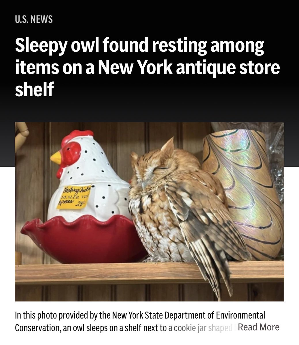OldHollowTree's tweet photo. Important news. https://t.co/YxnnHRFTRh