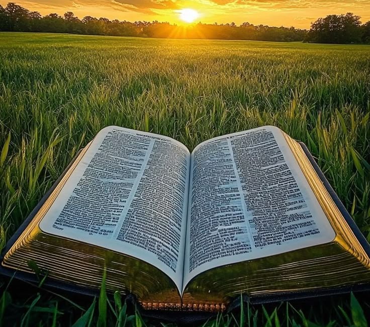 Pildora del día hoy

💊En tu palabra se resume la verdad; eternos y justos son todos tus decretos

Salmo 119, 160 🙏