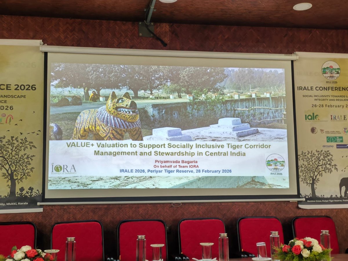 International Big Cat Alliance (IBCA) tweet media