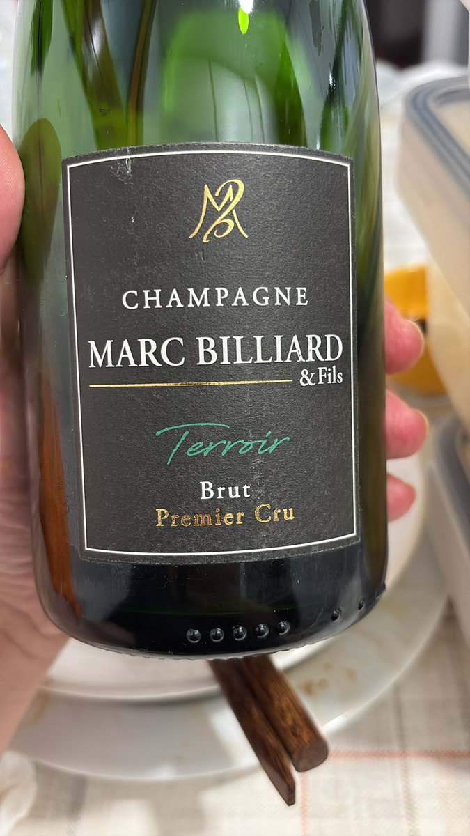 Mirko Czentovič tweet media