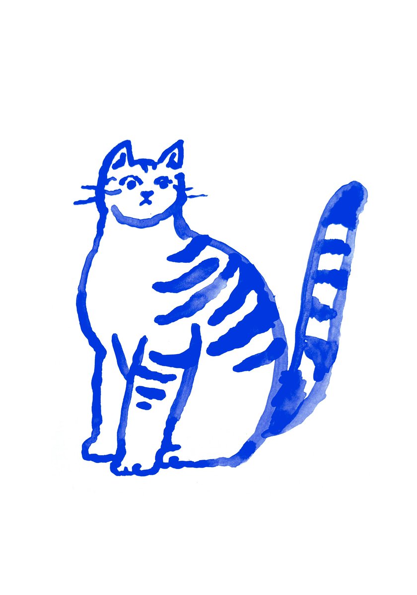 potzkun's tweet photo. 🐈💙 https://t.co/ABd4dpB2OI