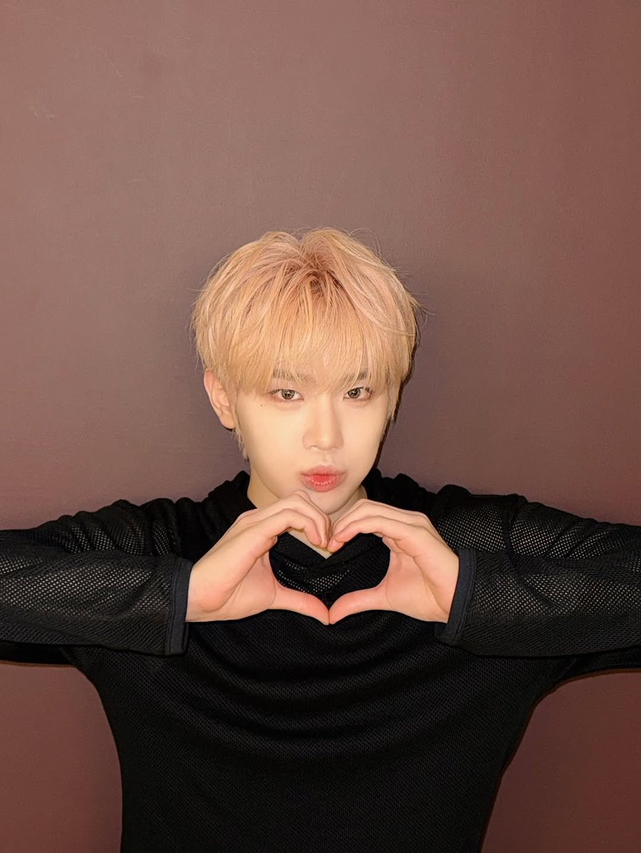 𝐓aerae, 김. tweet media