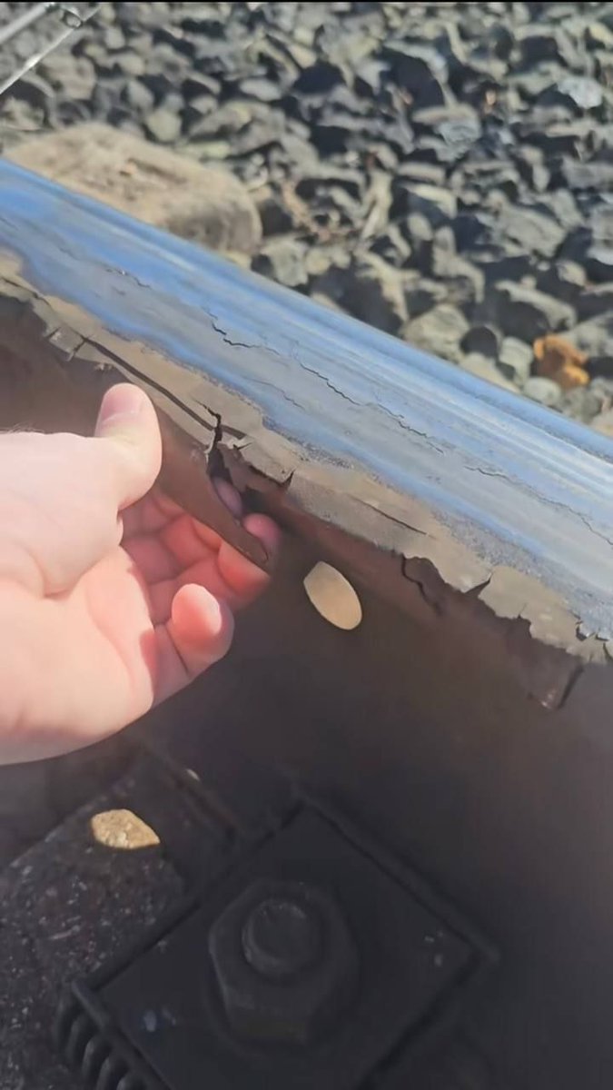 Forocoches tweet media