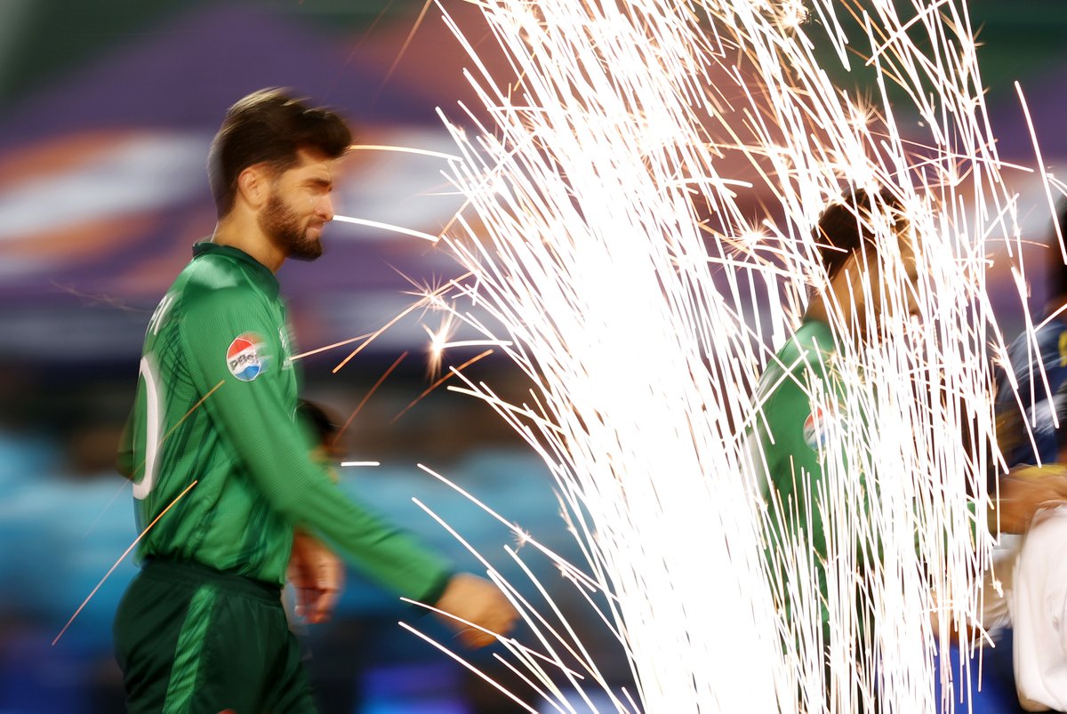 Robert Cianflone tweet media