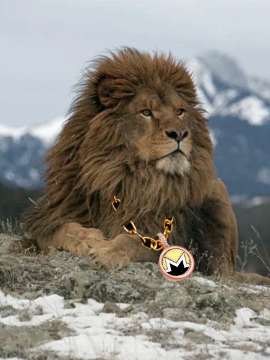 MoneroIsBetter's tweet photo. @WhiteWhaleLabs @SWEATY333 Monero is our best shot at reigning the crypto revolution. https://t.co/pfa66pTWJp