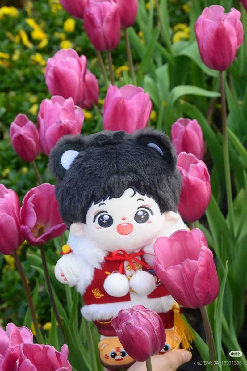 Zhan Zhan Panda among tulips 🌷 #XiaoZhan cr. leaf #XiaoZhan肖战