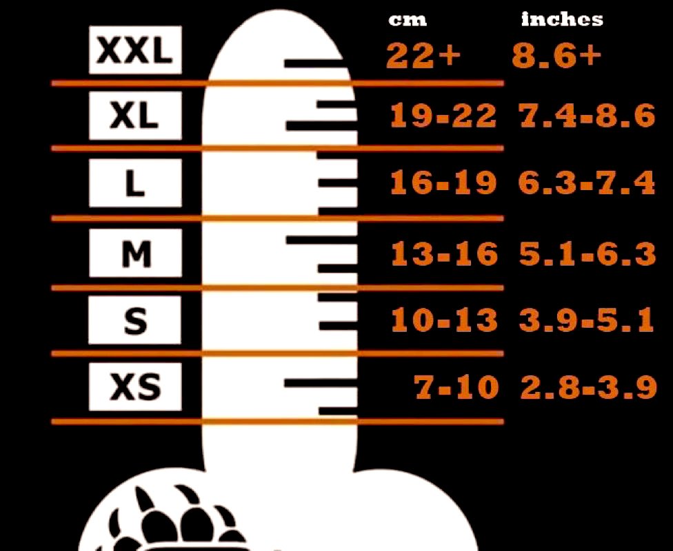 Ryan Rival tweet media