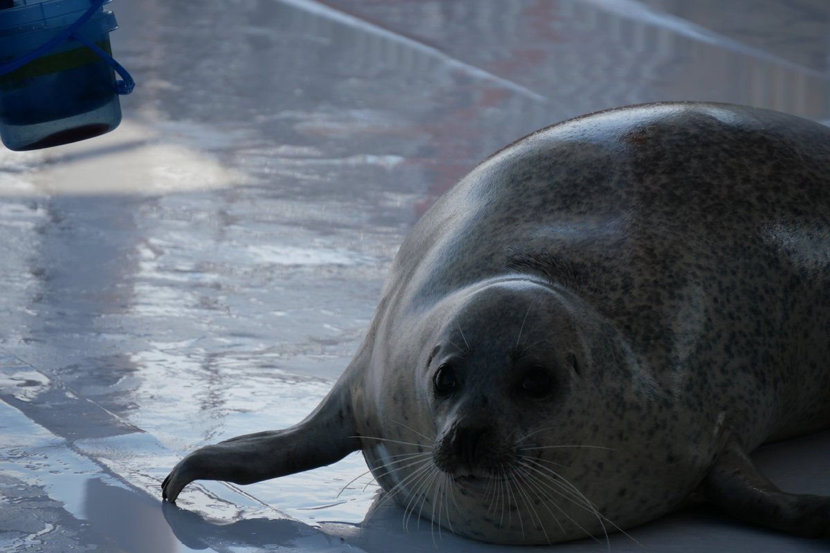 ｽｽﾞｷ (@suzuk1_san_) / Posts / X