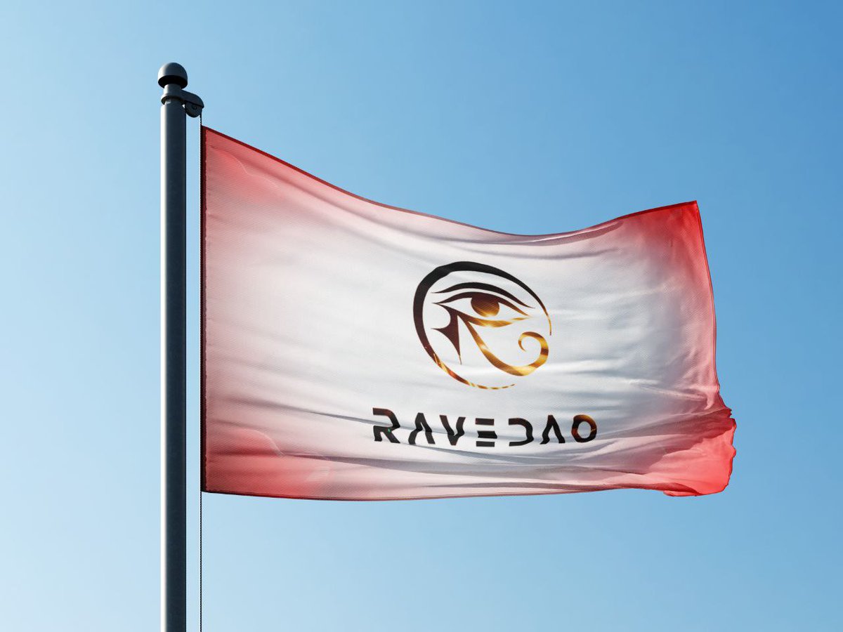 anahiorta1's tweet photo. Showcasing the #RaveTheFlag design I created and printed at a local crypto event. @RaveDAO https://t.co/znGYo8zojo