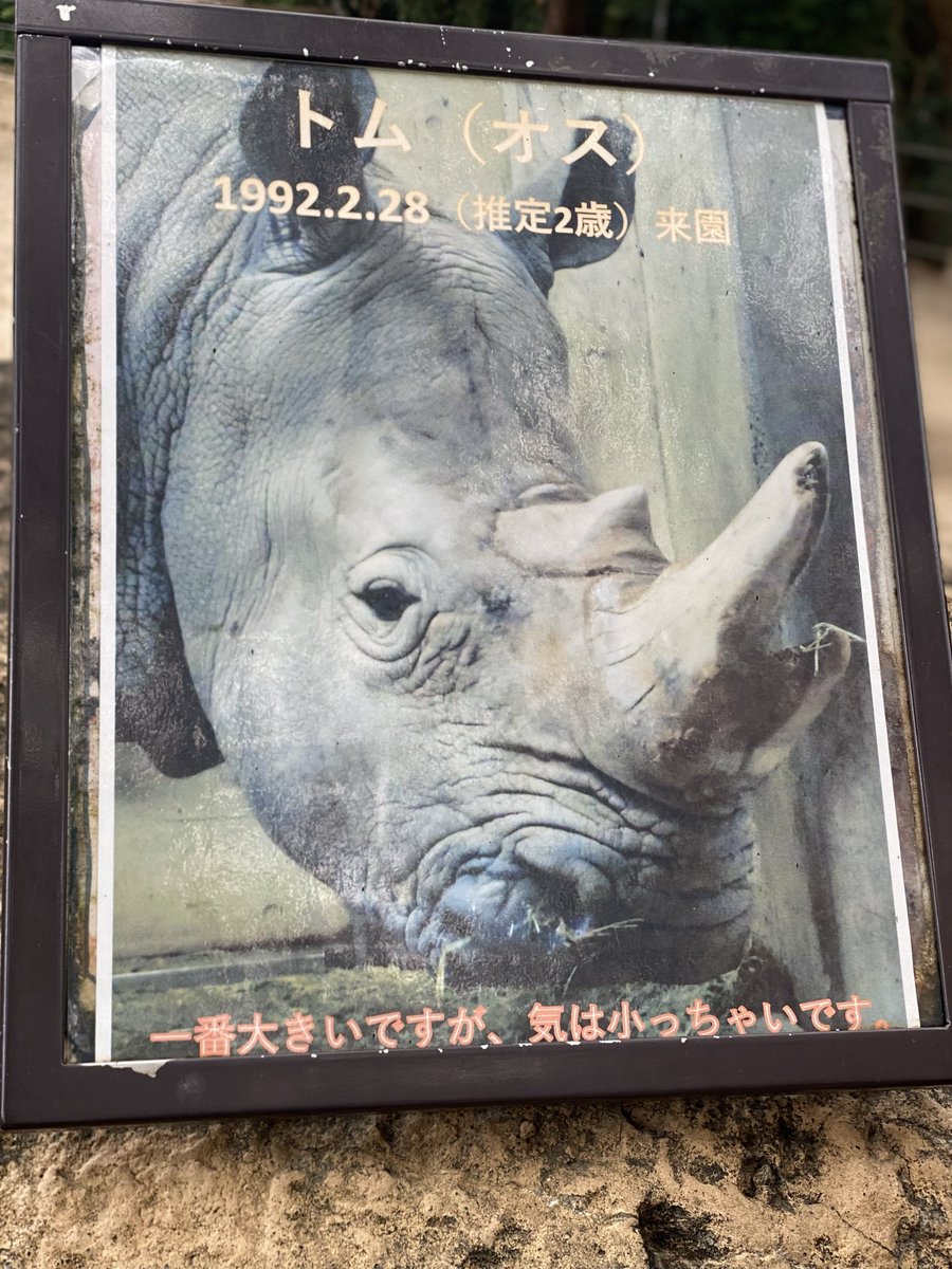 Rhino pentarou (@Rhino_pentarou) / Posts / X