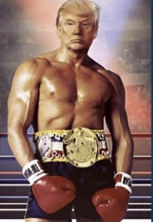 <a href="/realDonaldTrump/">Donald J. Trump</a> The bravest fighter of this time 🙏🙏🙏