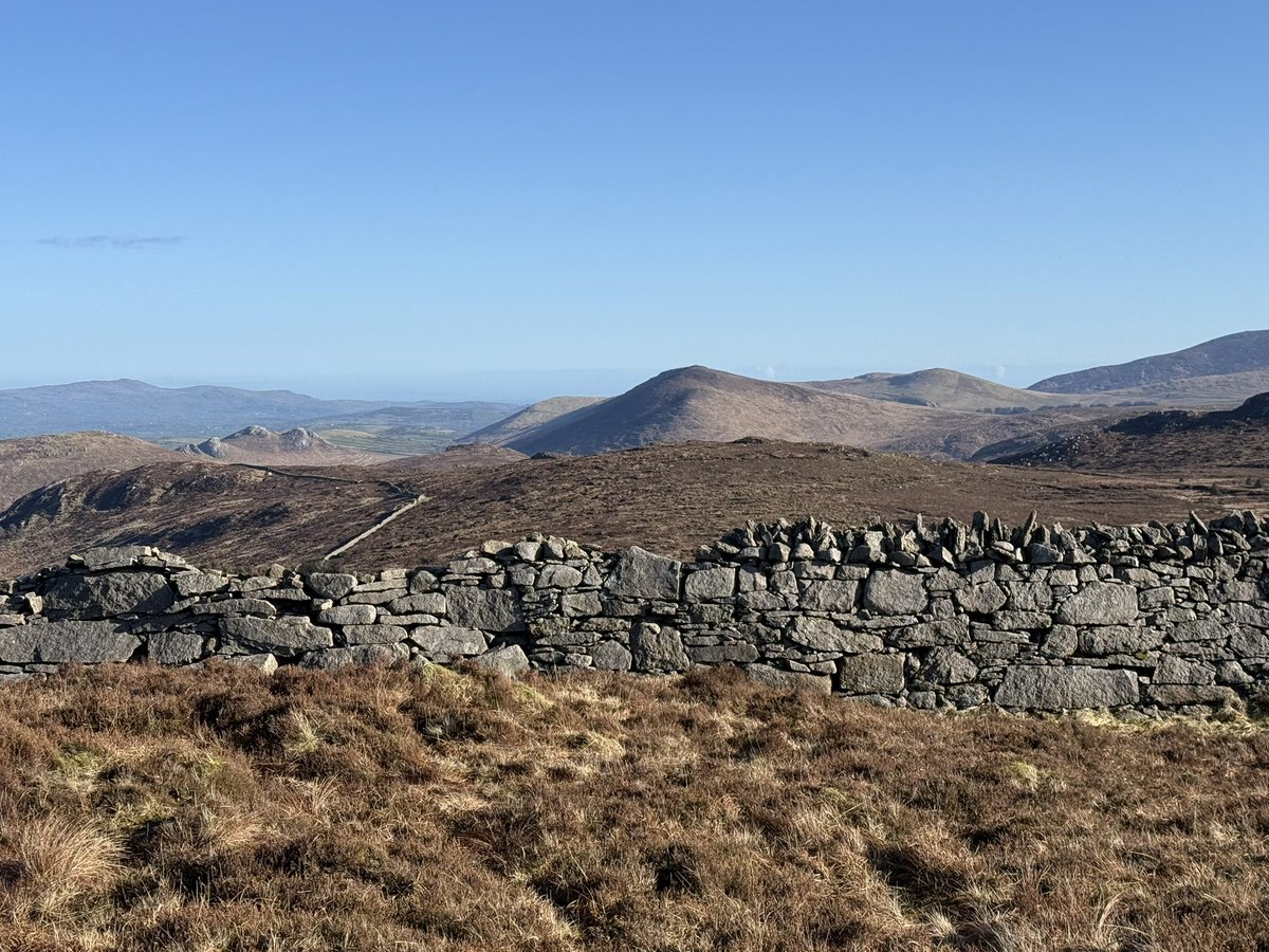 Steven morgan tweet media