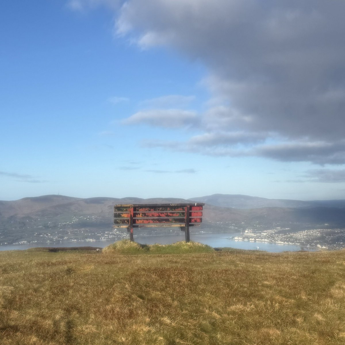 Steven morgan tweet media