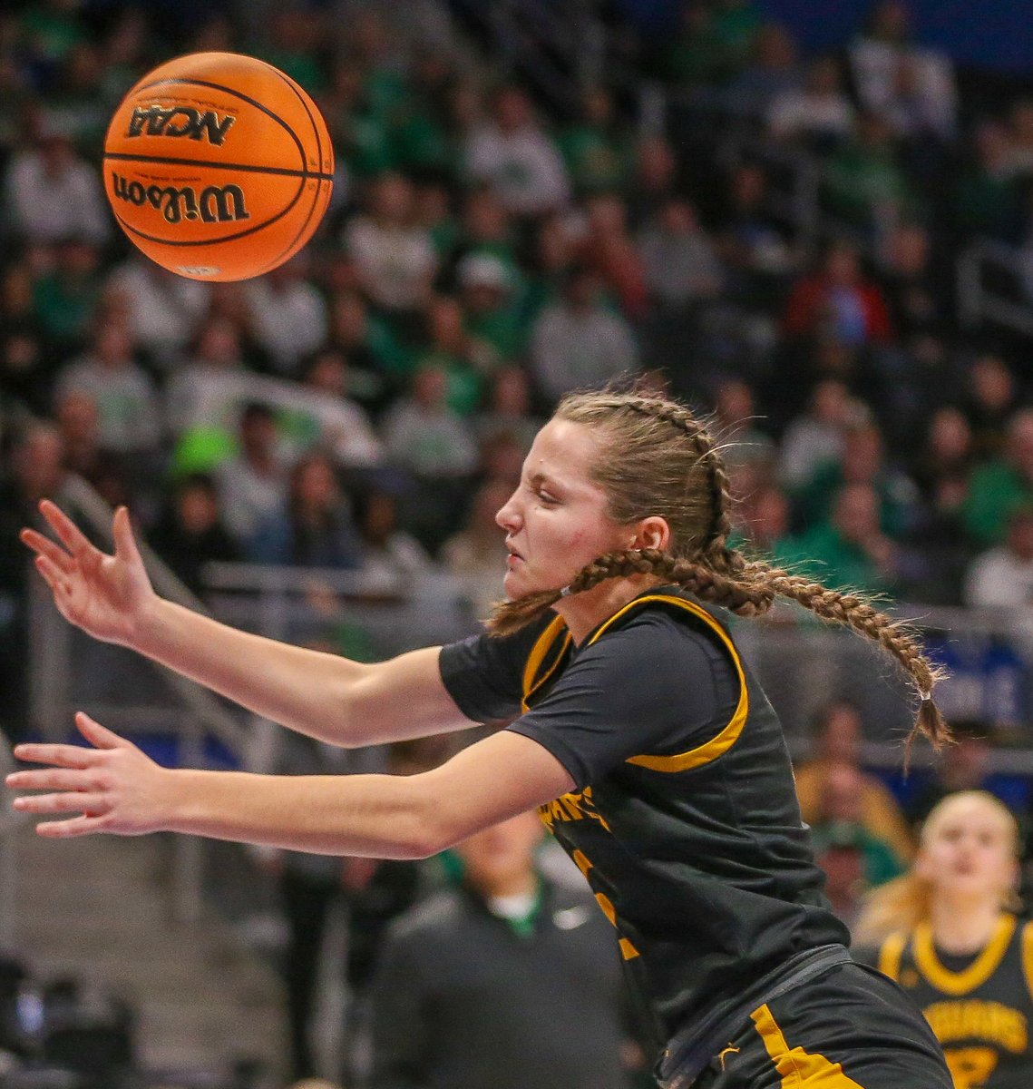 Mike Darnay tweet media