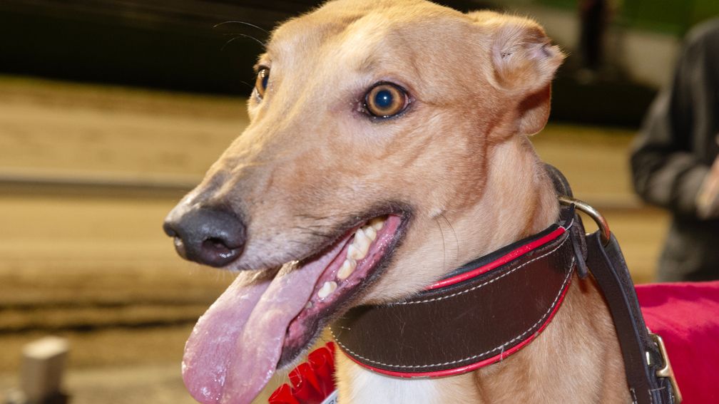 Take On The Knight tweet media