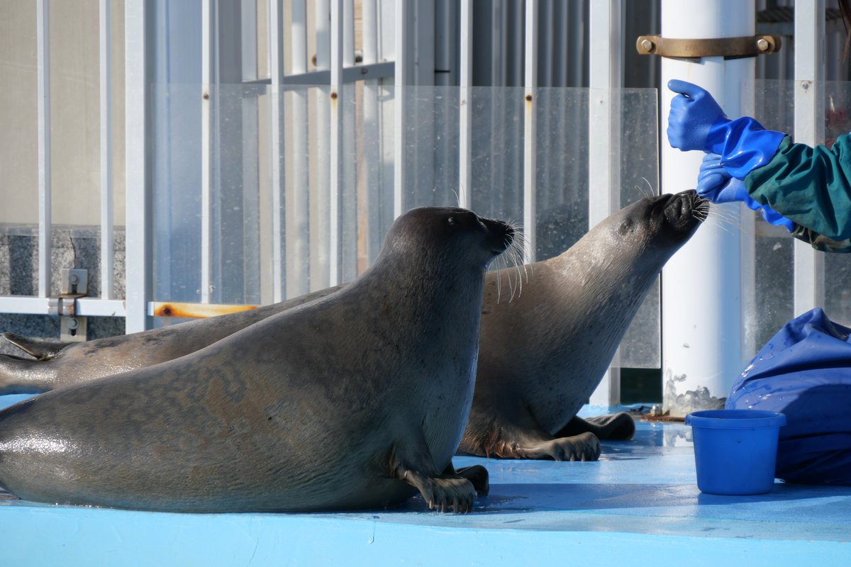 ｽｽﾞｷ (@suzuk1_san_) / Posts / X