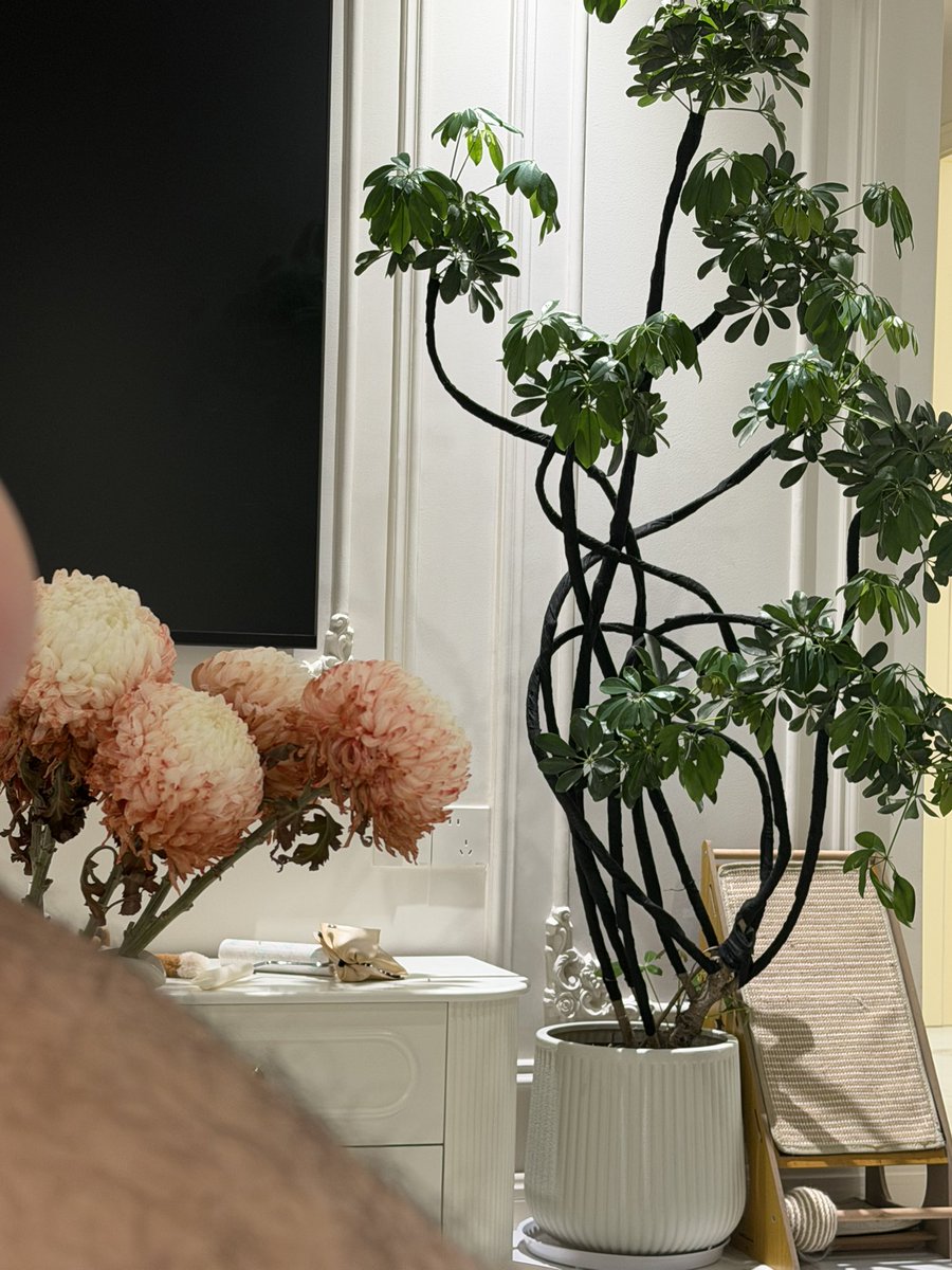 傻X也会赌(日结版) tweet media