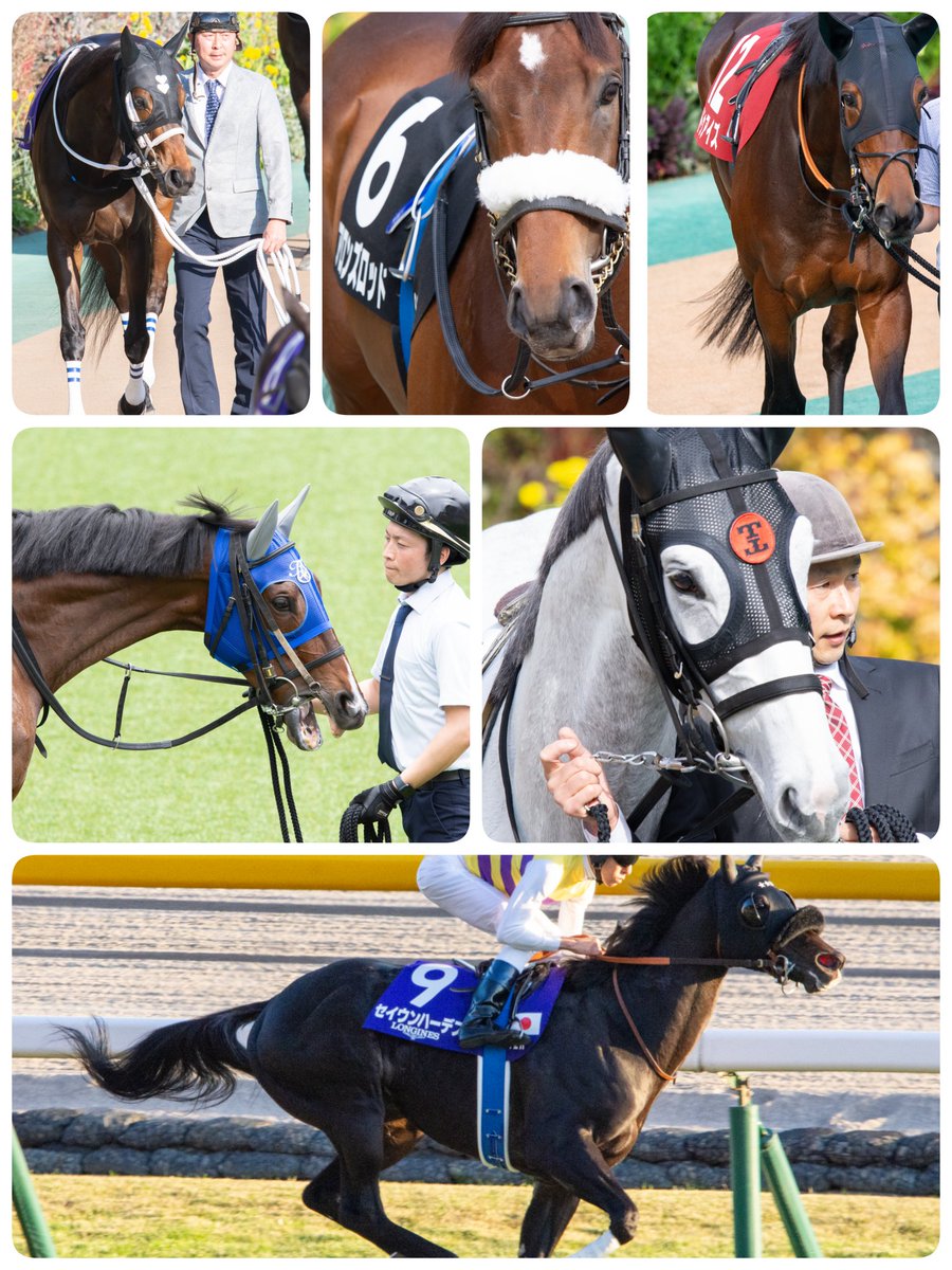 めんご🕸️🌟5/5メガネとポスタースタンド忘れないで！！！ tweet media