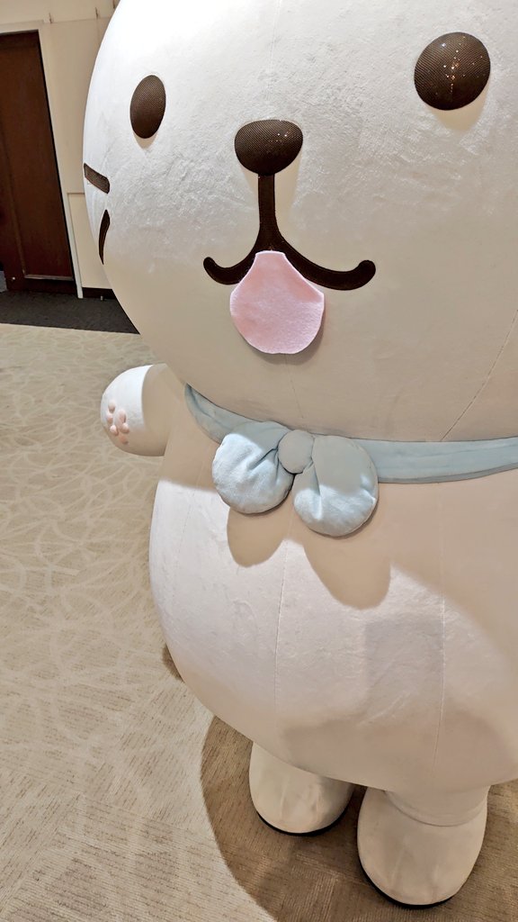 今日は座間へふくにゃんに会いに行きました。ちょい遠いのですが、自宅