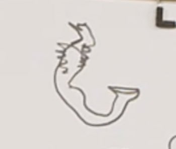 : เครื่องดนตรีที่จะเจอในคอนเสิร์ต

ม้าน้ำเป็นเครื่องดนตรีตั้งแต่เมื่อไหร่วะ 555555555555555555555555

 #CPXBILLKINFEELQUENCYCONCERT