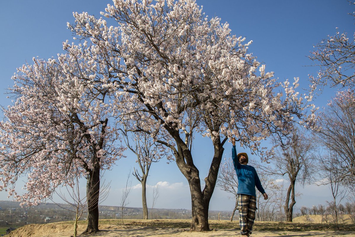 Faisal Bashir tweet media