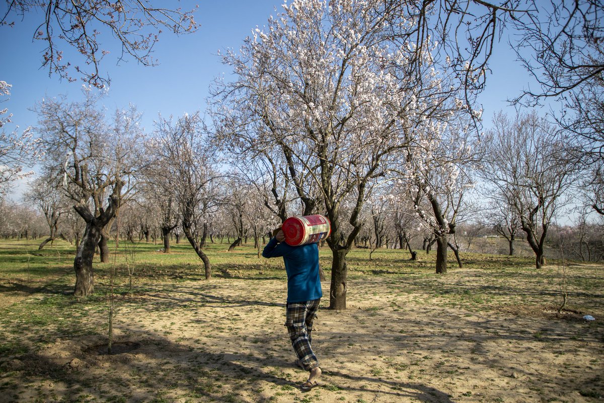 Faisal Bashir tweet media