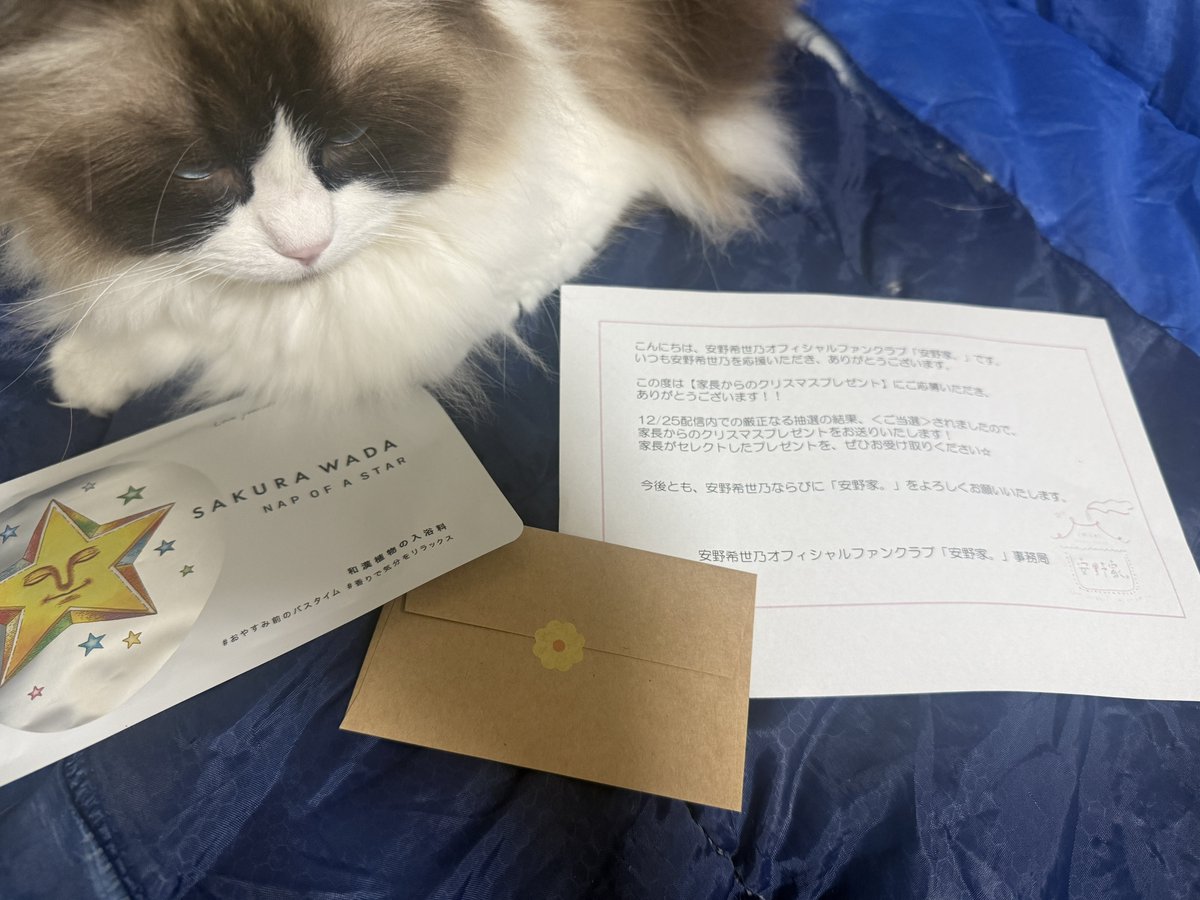 お待たせしました､きよのんからの入浴剤が届きました✨ そして､きよの