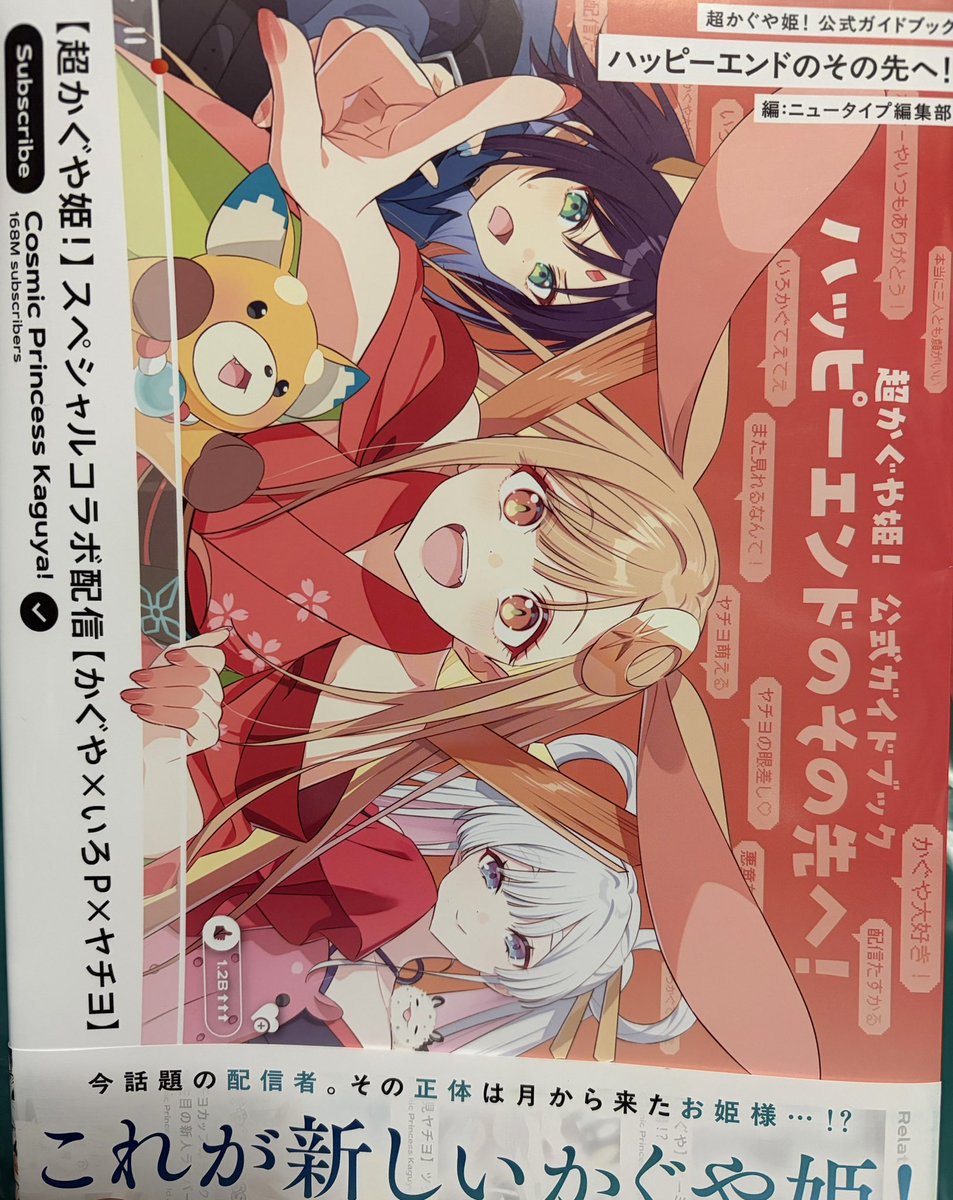 小説は初版で買えてたけどガイドブックだけはどこにも売ってなくて買え