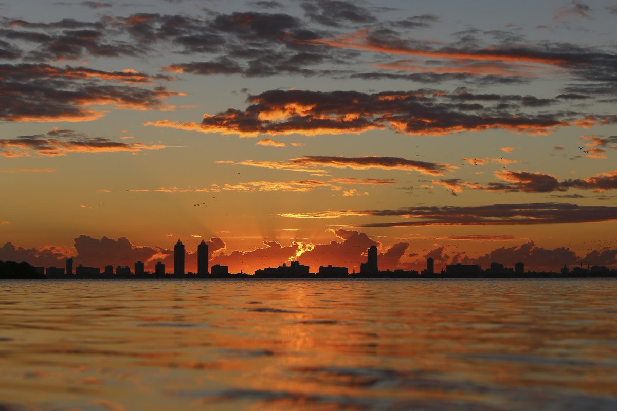 𝚍𝚒𝚐𝚒𝚝𝚊𝚕𝚜𝚌𝚊𝚙𝚎 ∞ tweet media