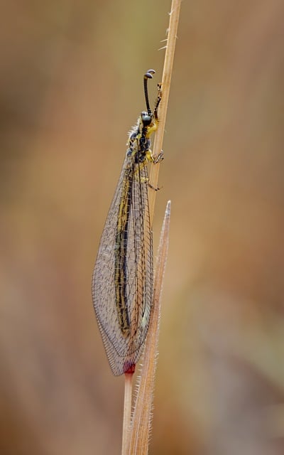 Farley Minna tweet media