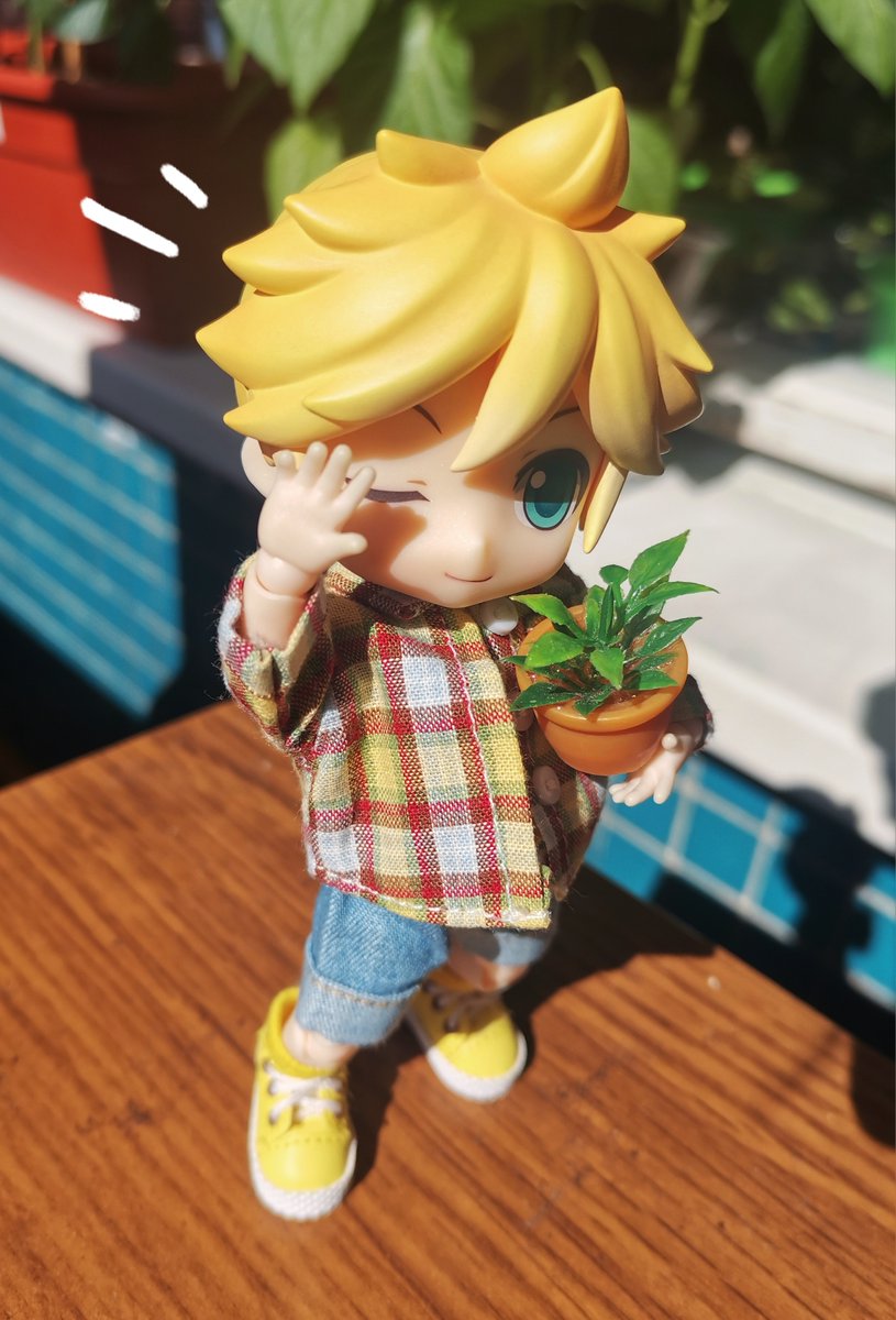 Акаруля tweet media