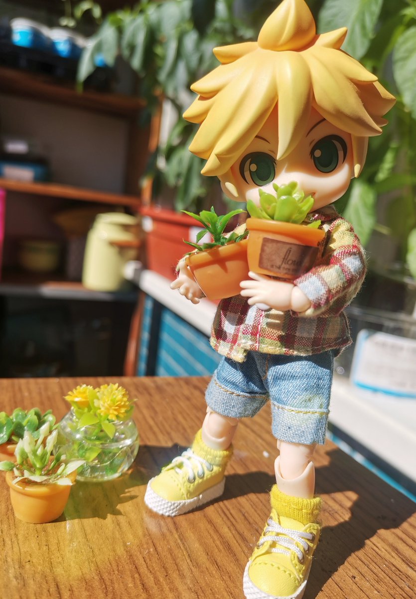 Акаруля tweet media