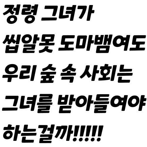 거북새 tweet media