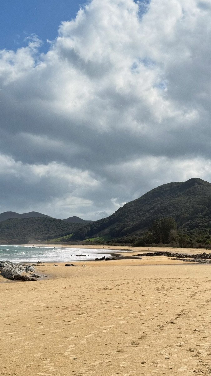 Lara Smirnova tweet media