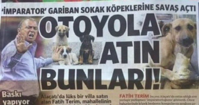 nil tweet media