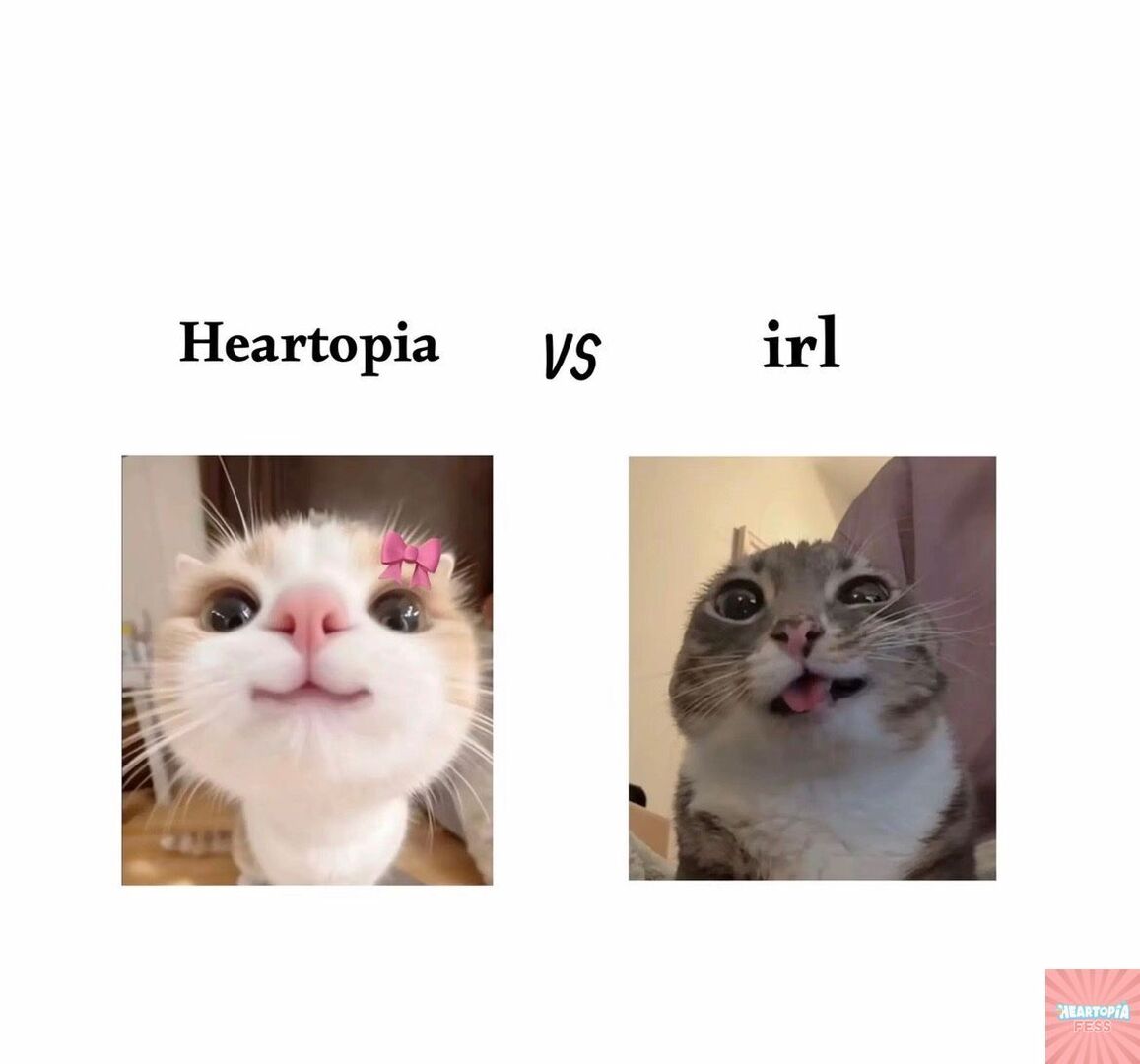 Heartopia Fess tweet media