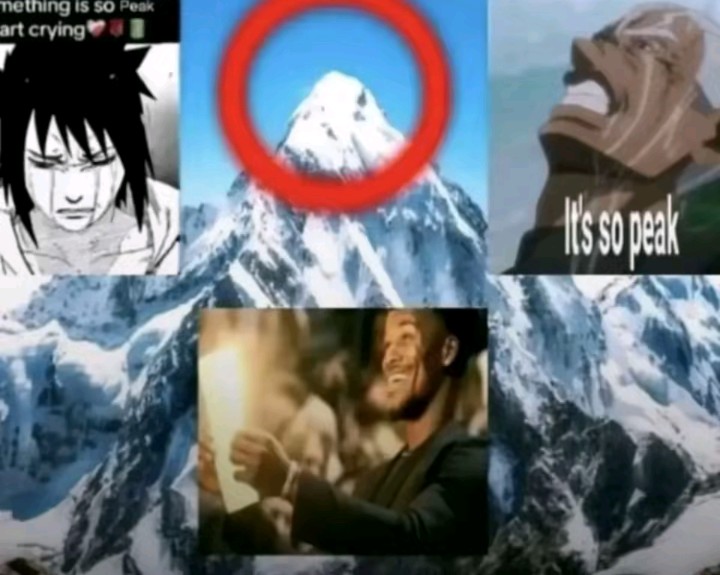 LeChadeur tweet media