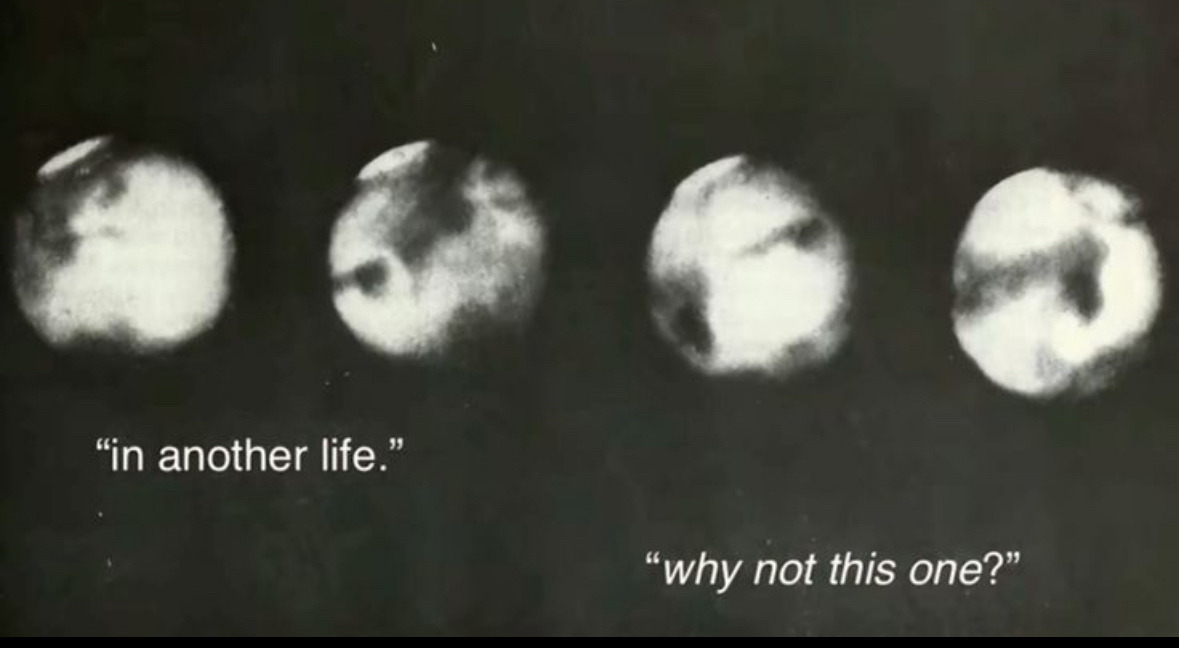 Synexdoche (@amor_fatti) on Twitter photo 