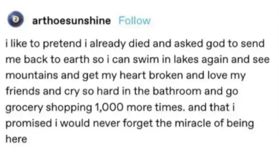 Synexdoche (@amor_fatti) on Twitter photo 