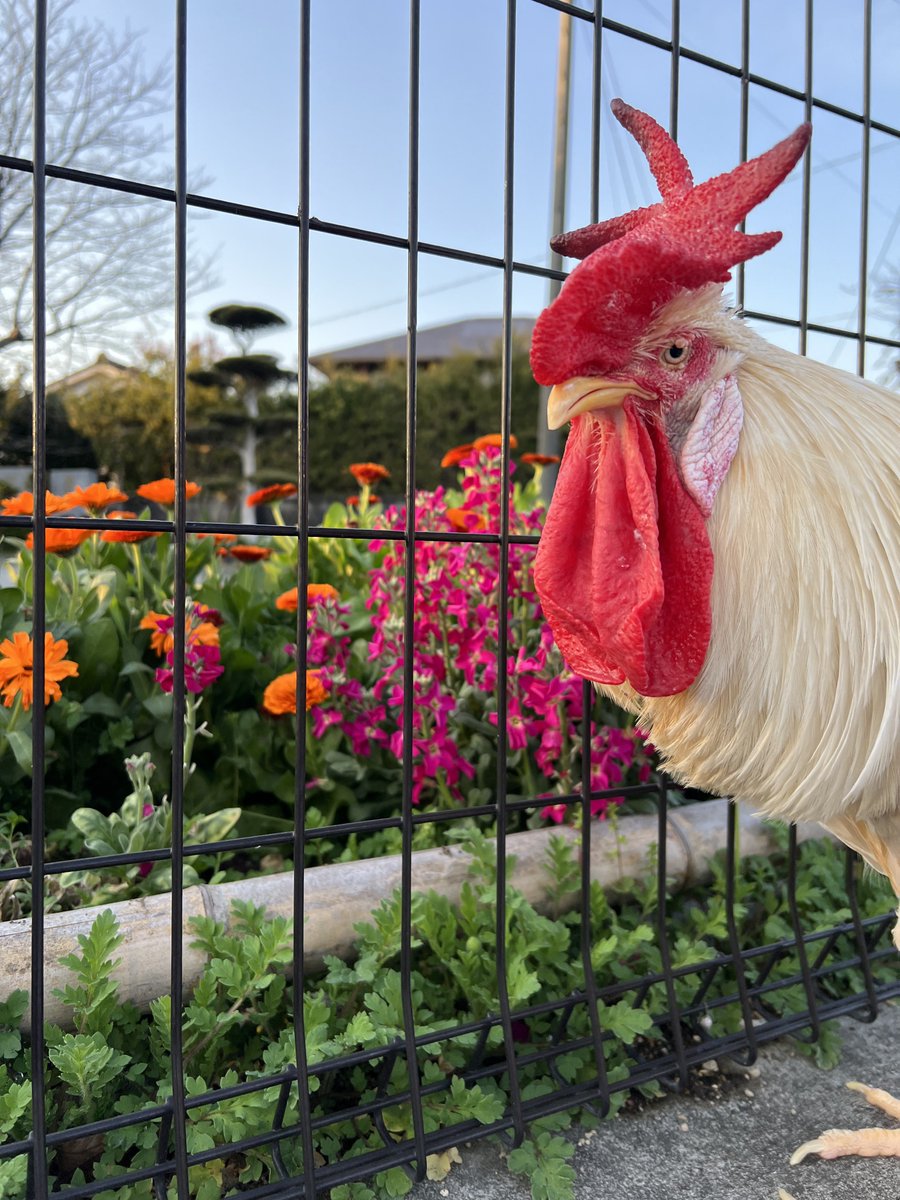 ｴ⁠)⁠￣⁠*⁠)