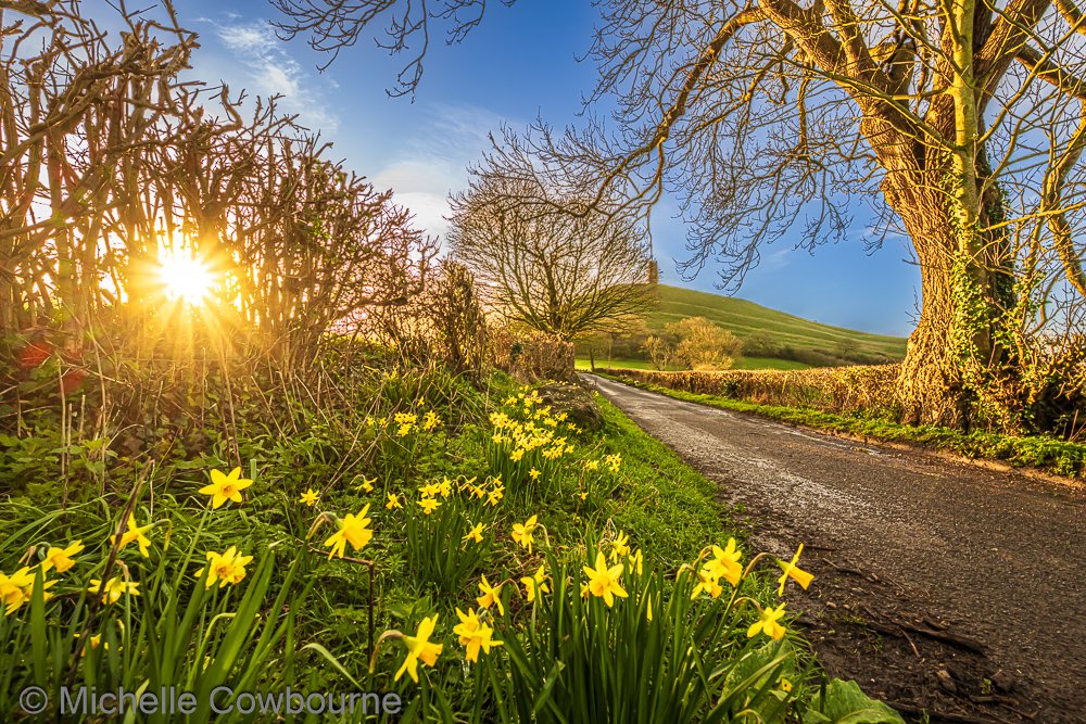 Michelle Cowbourne tweet media