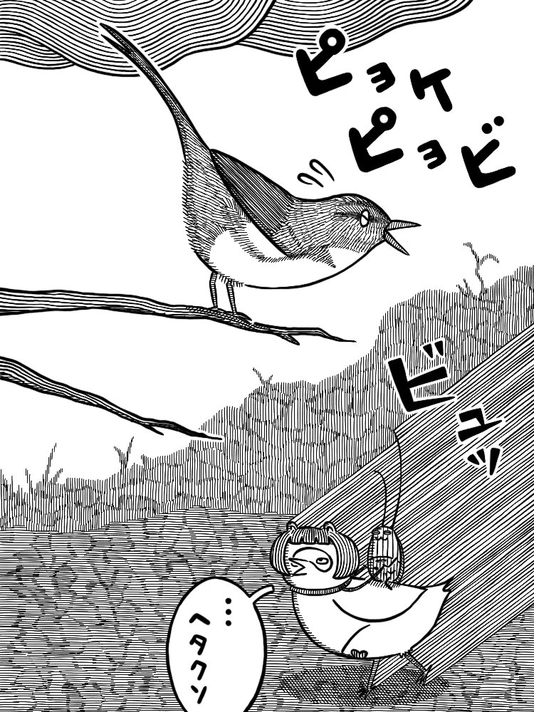 tanuyamatanuya's tweet photo. 午前中、今年初めて
ウグイスの鳴き声を聞きました。
まだ慣れておらず、
華麗なビブラートもできないようでしたが、
これから練習して、うまくなるはずなので、
心ない言葉を投げつけないように… https://t.co/LFuSEDpX2I